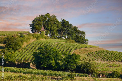 Fotografia, Obraz View of the vineyards in Saint Emilion, Gironde, Aquitaine, France, Europe