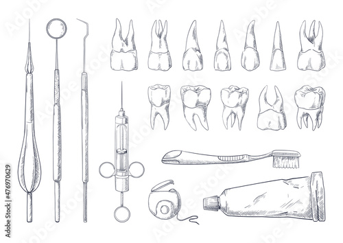 Dentist sketch. Hand drawn stomatology equipment vintage engraving with different teeth types. Toothpaste and toothbrush. Dental floss. Medical instruments. Vector dentistry tools set