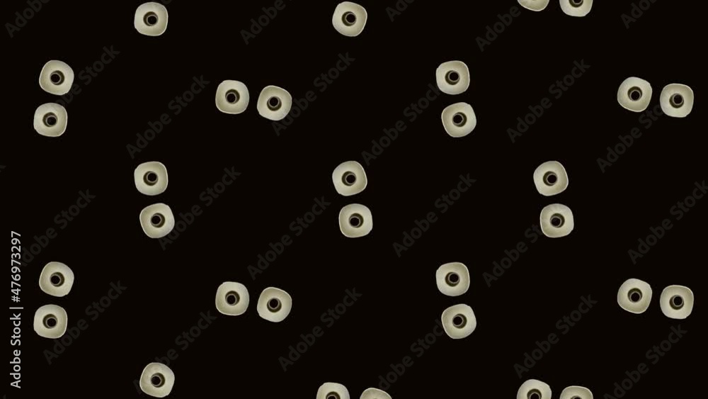 Colorful pattern of rotating rolls of a white toilet paper isolated on black background. Seamless pattern with toilet paper. Top view. Realistic animation. 4K video motion Colorful pattern of rotating rolls of a white toilet paper isolated on black background. Seamless pattern with toilet paper. Top view. Realistic animation. 4K video motion