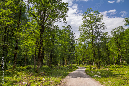 Walk to Gosausee