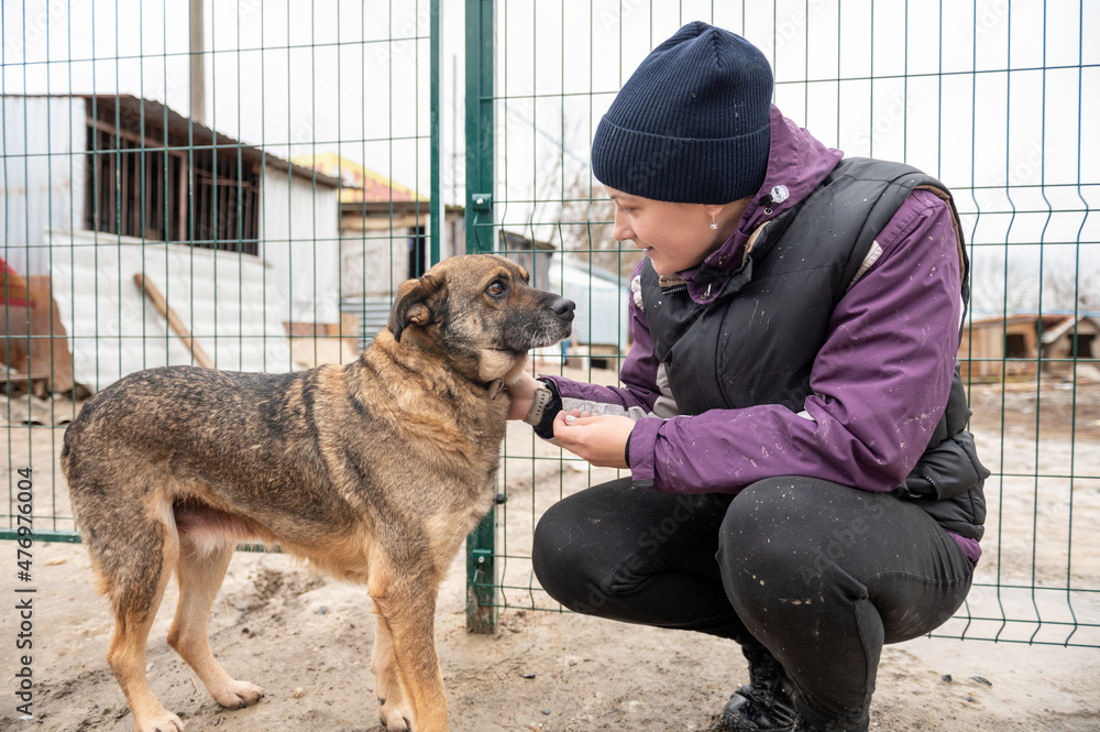 © andyborodaty - Girl volunteer in the nursery for dogs. Shelter for stray dogs. © andyborodaty - Girl volunteer in the nursery for dogs. Shelter for stray dogs.