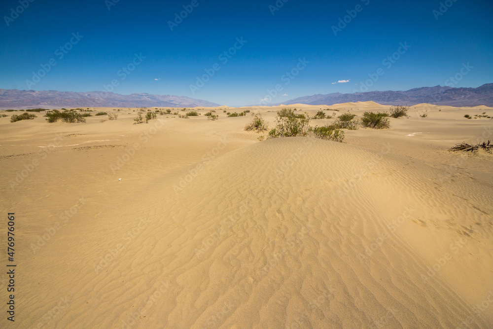 Mesquite dunes in Death Valley, California, USA. Mesquite dunes in Death Valley, California, USA.