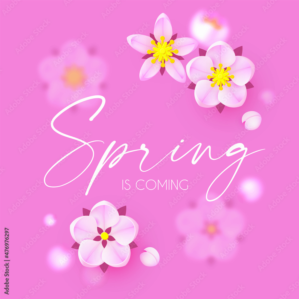 Spring is comming. Cute flower design. Apple tree and sakura blossom Spring is comming. Cute flower design. Apple tree and sakura blossom
