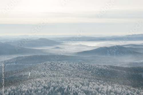 Beautiful view of a snowy forest © Vladislav Fokin