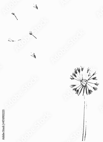 Pre made template with Dandelion flower. Summer concept. Decorative greeting card, invitation, poster, design background, birthday party.