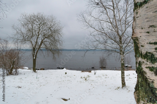 Wallpaper Mural 
Birches on the snowy shore Torontodigital.ca