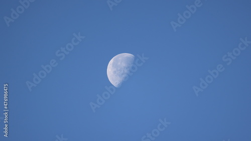 朝に見えた半月の写真 photo