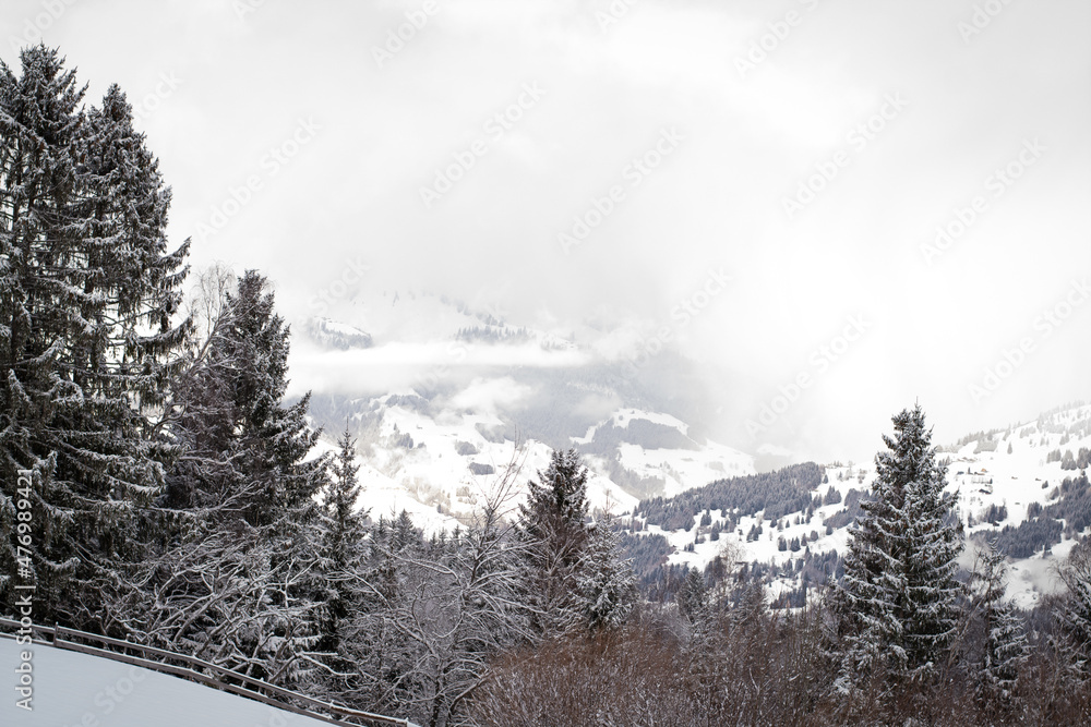 Obraz premium Winter / Landschaft