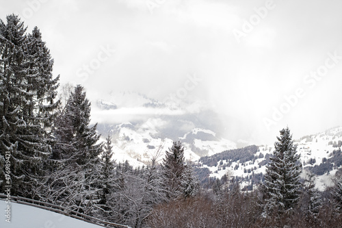 Wallpaper Mural Winter / Landschaft Torontodigital.ca