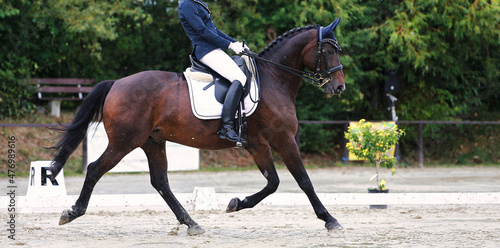 Black dressage horse with rider in trot, photographed from the side in the suspension phase..