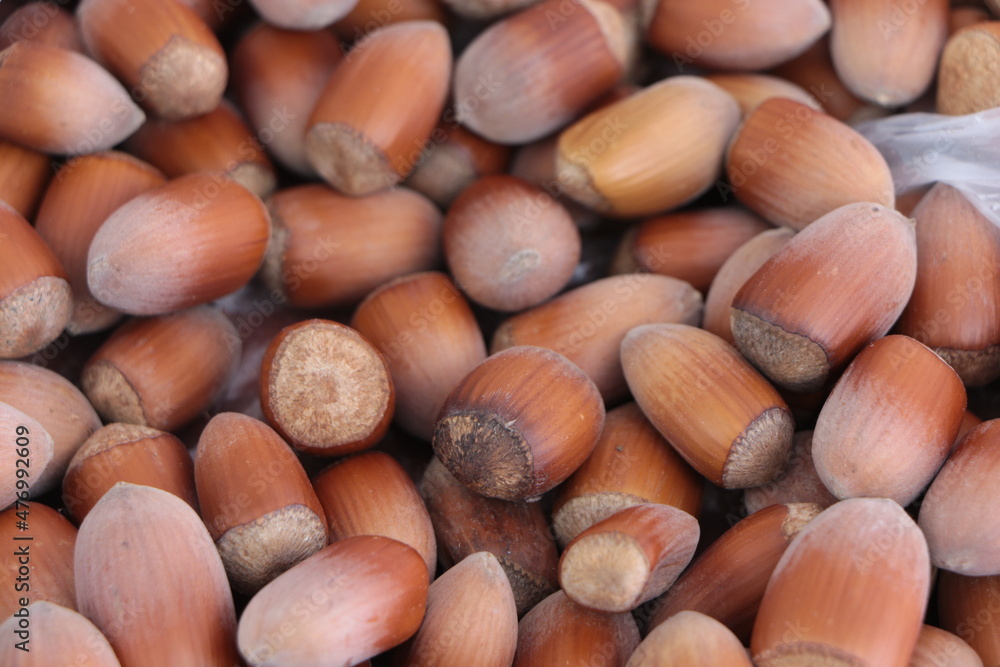 Group of hazelnuts. A pile of hazelnuts. Food background. Hazelnut background. Group of hazelnuts. A pile of hazelnuts. Food background. Hazelnut background.