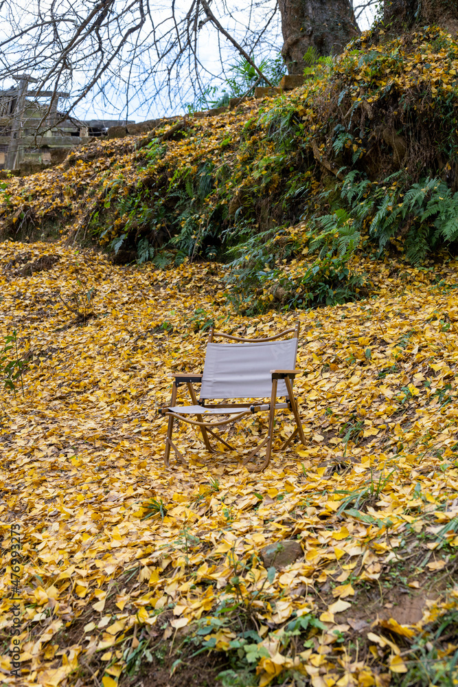 An outdoor chair sits in a park strewn with Gingko leaves