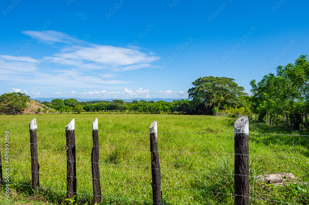 ranch palisade fence