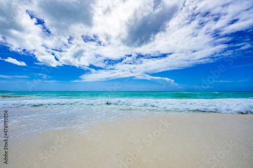 magical paradise beach of the Caribbean sea