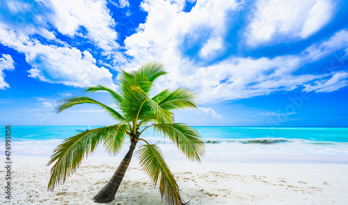 Fototapeta Naklejka Na Ścianę i Meble -  caribbean sea palm trees paradise