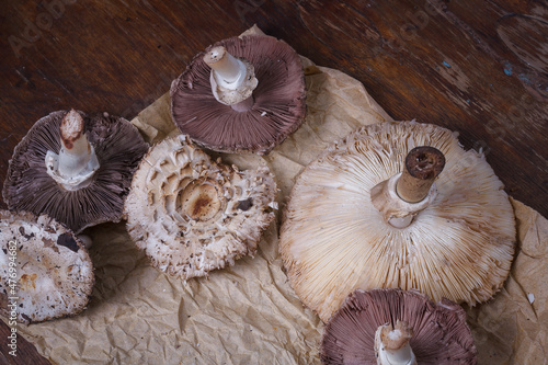 Fresh champignon mushrooms and some dry leaves on paper. Seasonal ogranic product, healthy protein food. photo