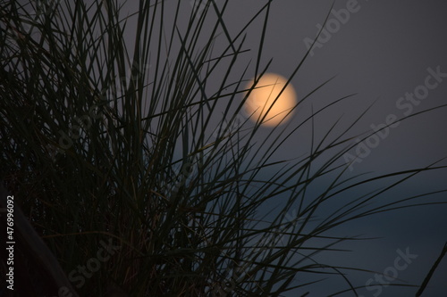 moon rise