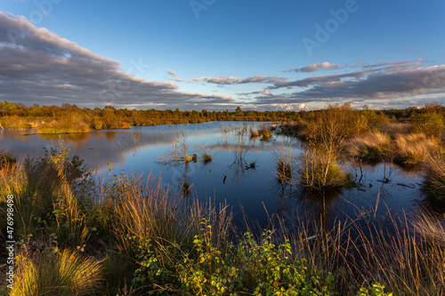 Late summer evening over a Bog inside a little nature reserve near the german North Sea coast.