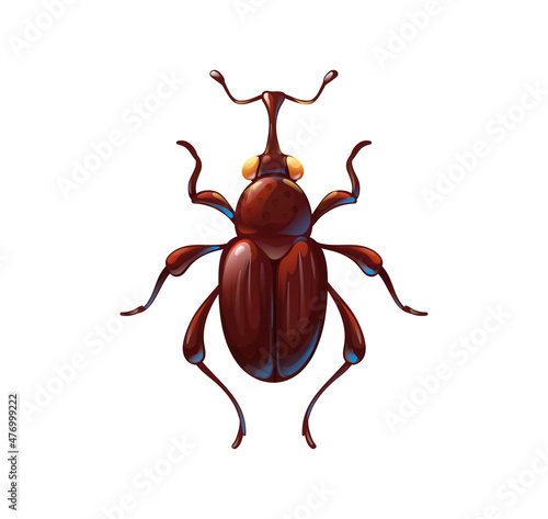 Weevil bug or snout beetle, cute cartoon insect