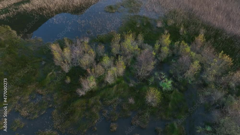Marsh and wetland area on the Aguera river near El Pontarron de Guriezo. Cantabria, Spain, Europe Marsh and wetland area on the Aguera river near El Pontarron de Guriezo. Cantabria, Spain, Europe
