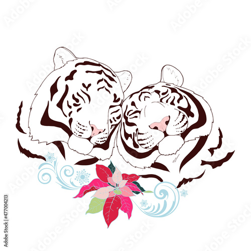 Portrait of a pair of white tigers