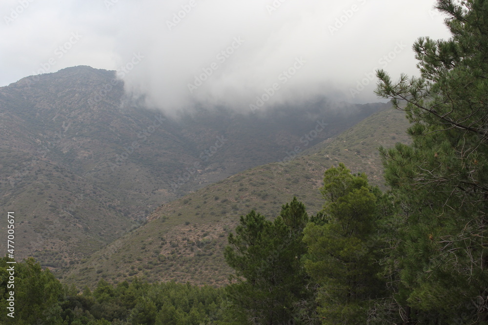 Cloudy day in the mountains