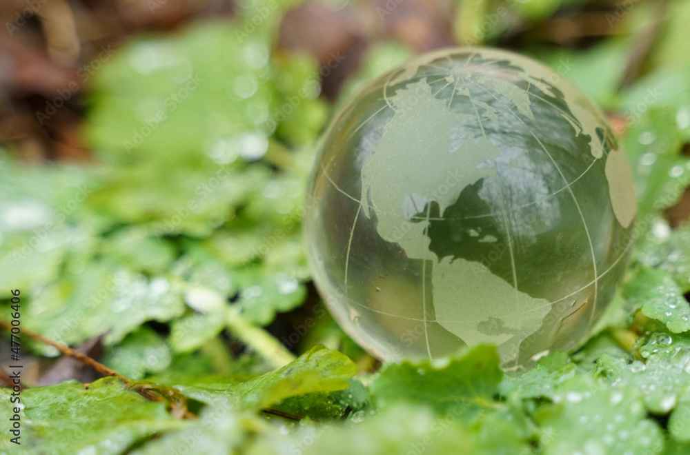 A glass globe lies on the green grass covered with dew. A glass globe lies on the green grass covered with dew.