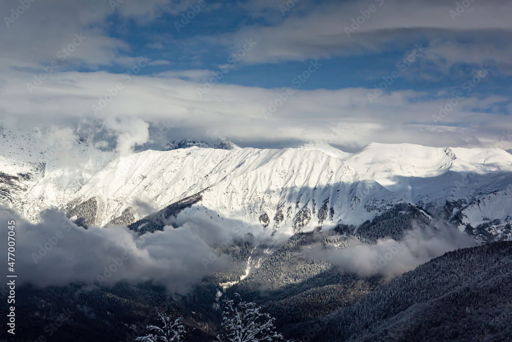 Snow-covered mountain ranges covered with coniferous forests in the clouds