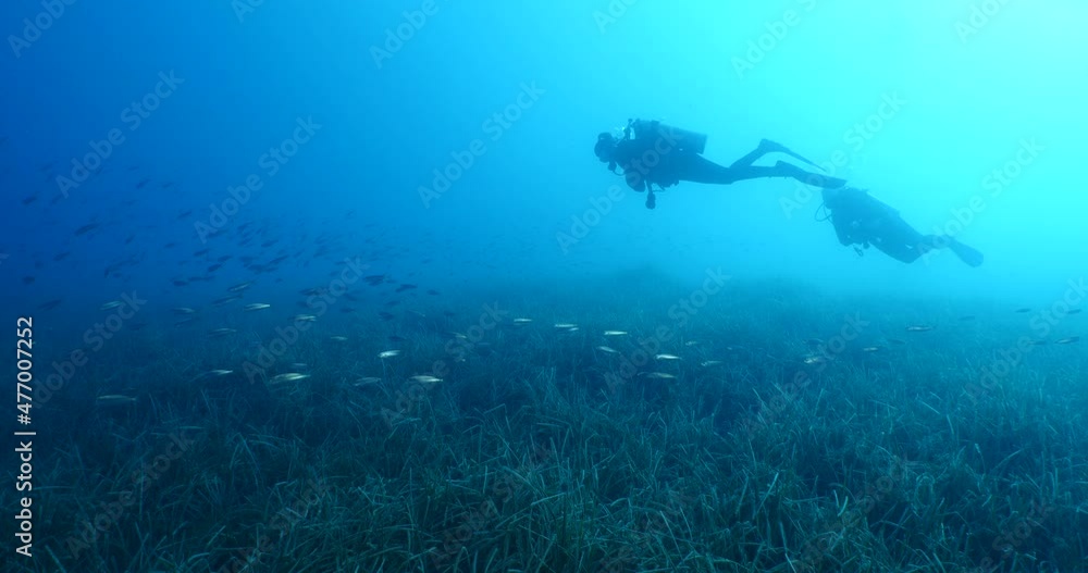 silhouette scuba divers exploring around a reef underwater deep blue water silhouette scuba divers exploring around a reef underwater deep blue water