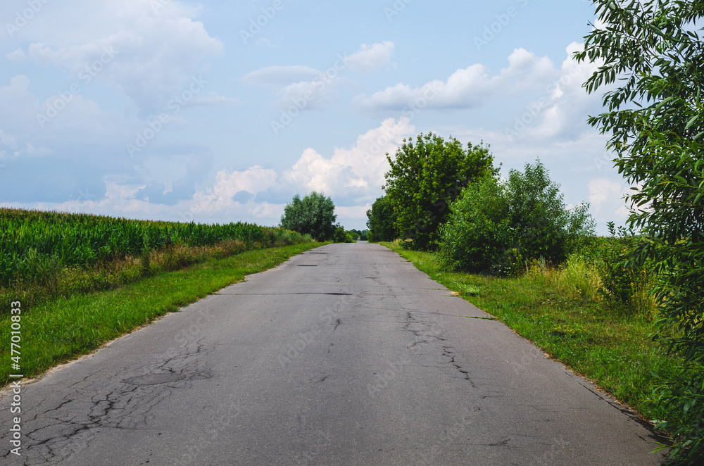 Trees grow on the side of the paved road. Asphalt road through a green field and clouds in the sky on a summer day