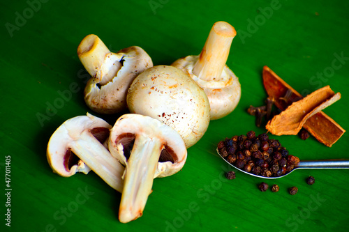 Fresh mushroom isolated with herbs and spices.