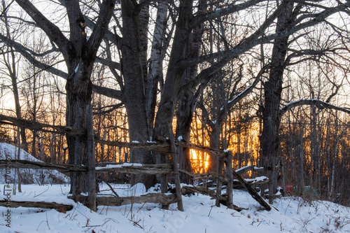 sunset in winter