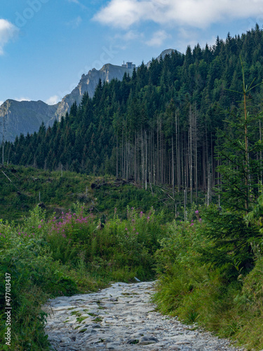 Mountain hiking trail to Kasprowy Wierch in the Tatra National Park