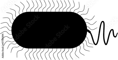 Black silhouette of bacterium with flagella and cilia isolated on white background
