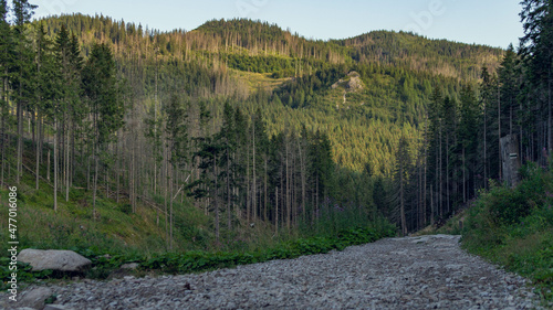 Mountain hiking trail to Kasprowy Wierch in the Tatra National Park
