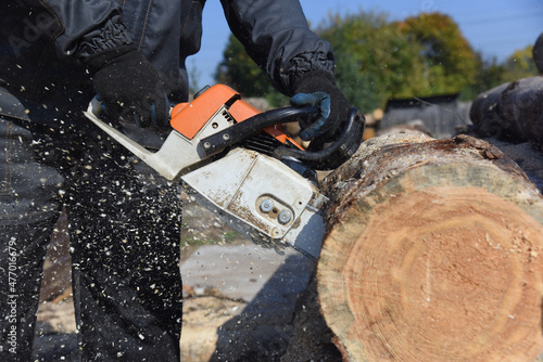 A worker in overalls saws a log with a chain saw, harvesting wood.