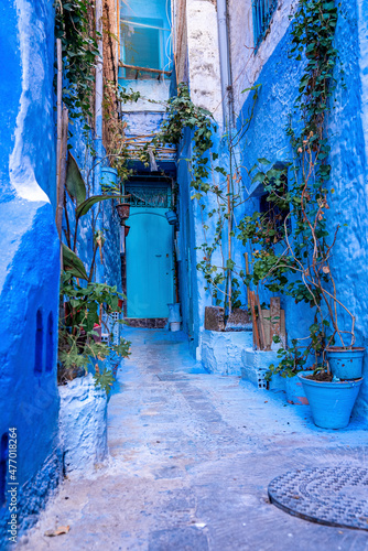 Blue colored residential alley and potted plants leading to closed door of house, the blue city in the Morocco © ingusk