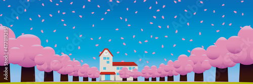 春の桜並木の奥に見える校舎・園舎 