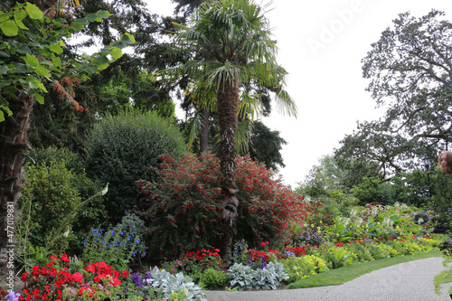 A successful combination of tropical and coniferous plants among flower beds