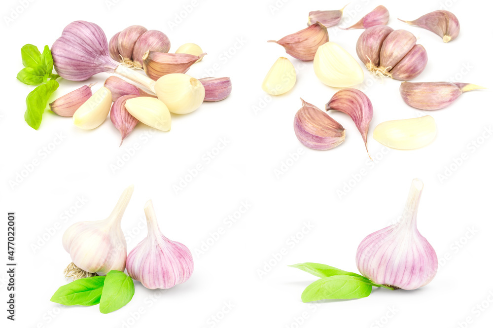 Group of Garlic isolated on a white background cutout Group of Garlic isolated on a white background cutout
