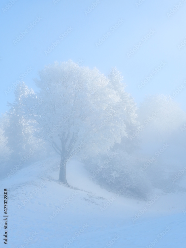 Winter Romance 3 Winter Romance 3