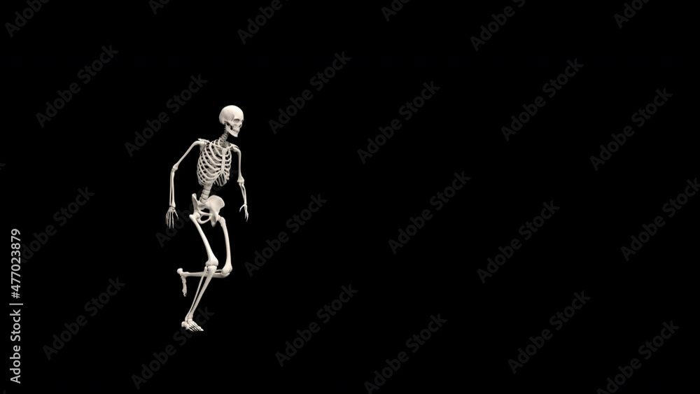 Skeleton Dancing - 3d render looped with alpha channel. Skeleton Dancing - 3d render looped with alpha channel.