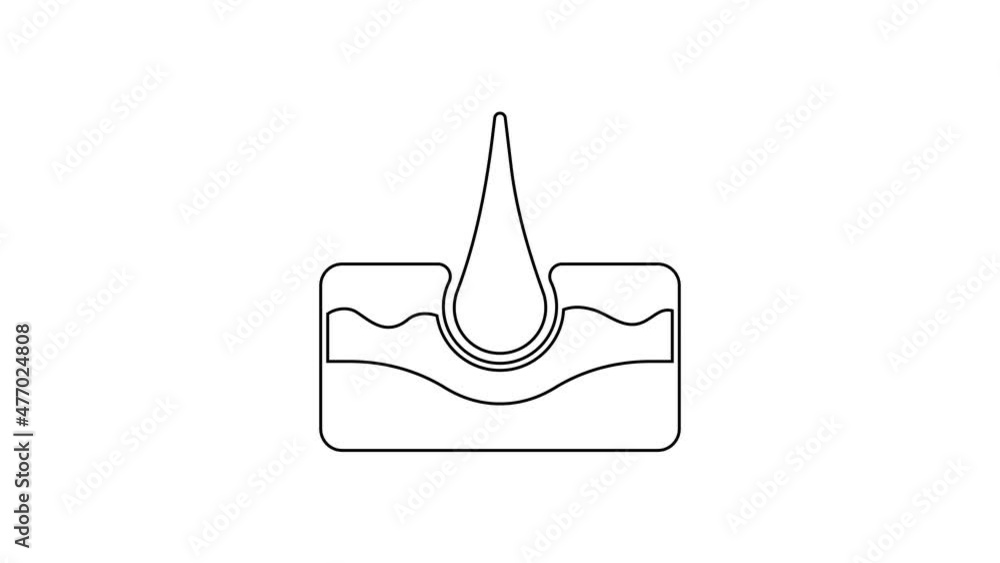 Black line Human hair follicle icon isolated on white background. Hair care treatment. 4K Video motion graphic animation Black line Human hair follicle icon isolated on white background. Hair care treatment. 4K Video motion graphic animation