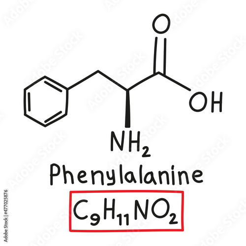 Hand drawn chemical molecular formula of amino acid phenylalanine in doodle style isolated