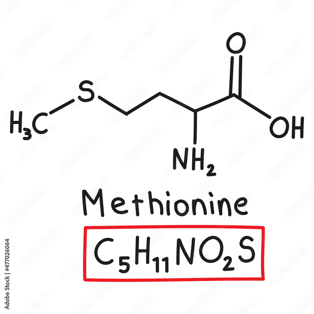 Hand drawn chemical molecular formula of amino acid Methionine in doodle style isolated Hand drawn chemical molecular formula of amino acid Methionine in doodle style isolated