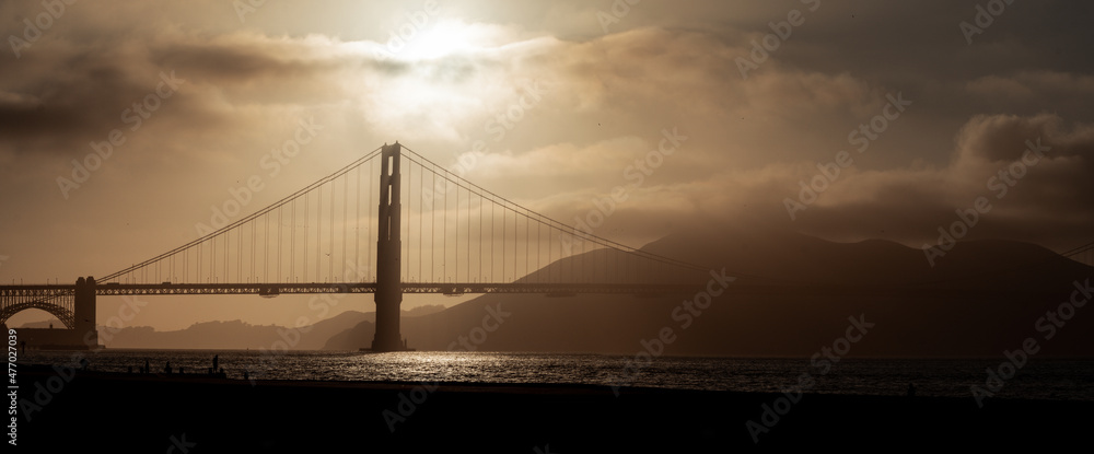 bridge over the river