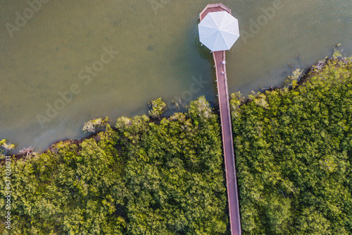 Aerial of black mangrove (Avicennia germinans) swamp with a wooden walkway cutting through the trees ending in an octagon shaped river front lookout.