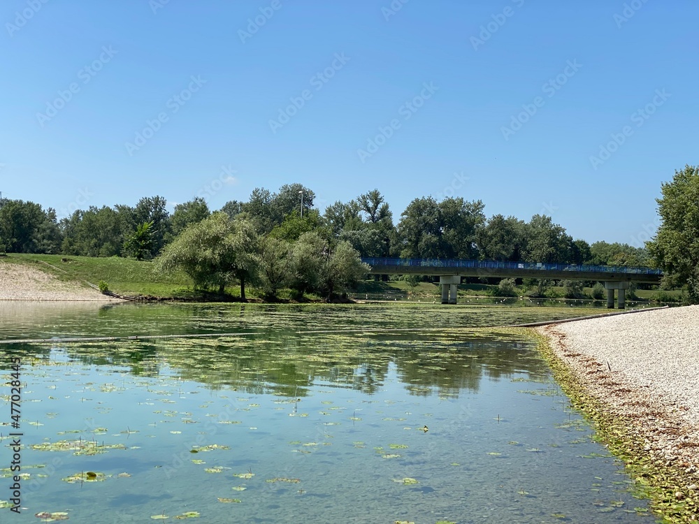 Jarun - small lake or Jarunsko small lake during the summer, Zagreb - Croatia (Jarun - malo jezero ili Jarunsko malo jezero tijekom ljeta (RŠC Jarun), Zagreb - Hrvatska)