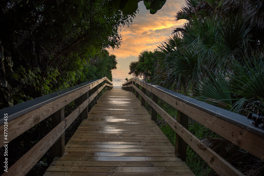 A wet wooden walkway leading through tropical foliage toward a colorful sky at sunrise.