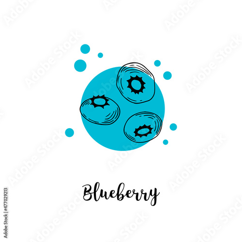 Blueberry hand drawn poster. Stock vector illustration.